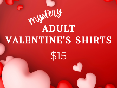 $15 Adult MYSTERY Valentine s Shirt Online now