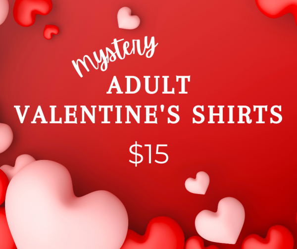 $15 Adult MYSTERY Valentine s Shirt Online now